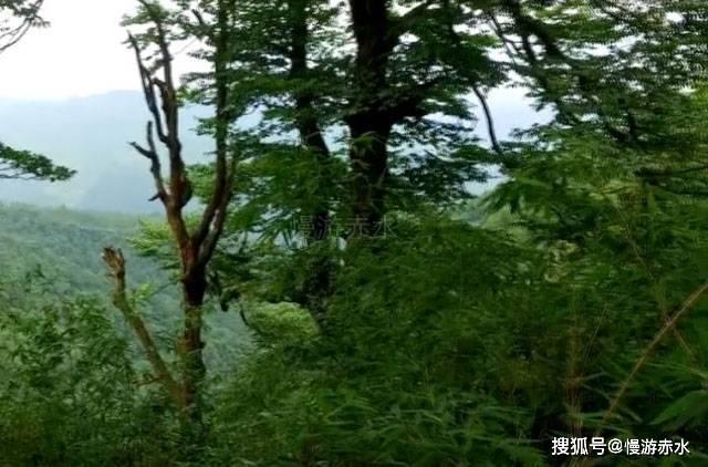如何让冰箱不结冰？